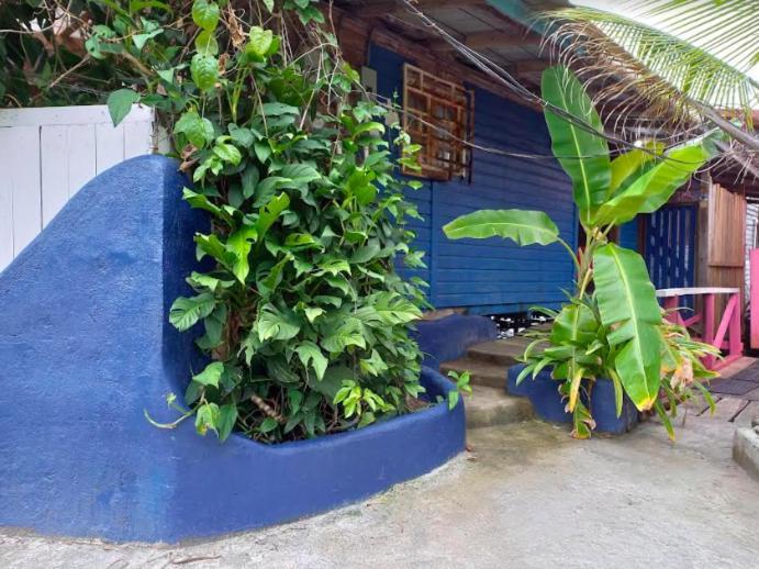 Villa Casa Elba Sobre El Mar Bocas del Toro Esterno foto