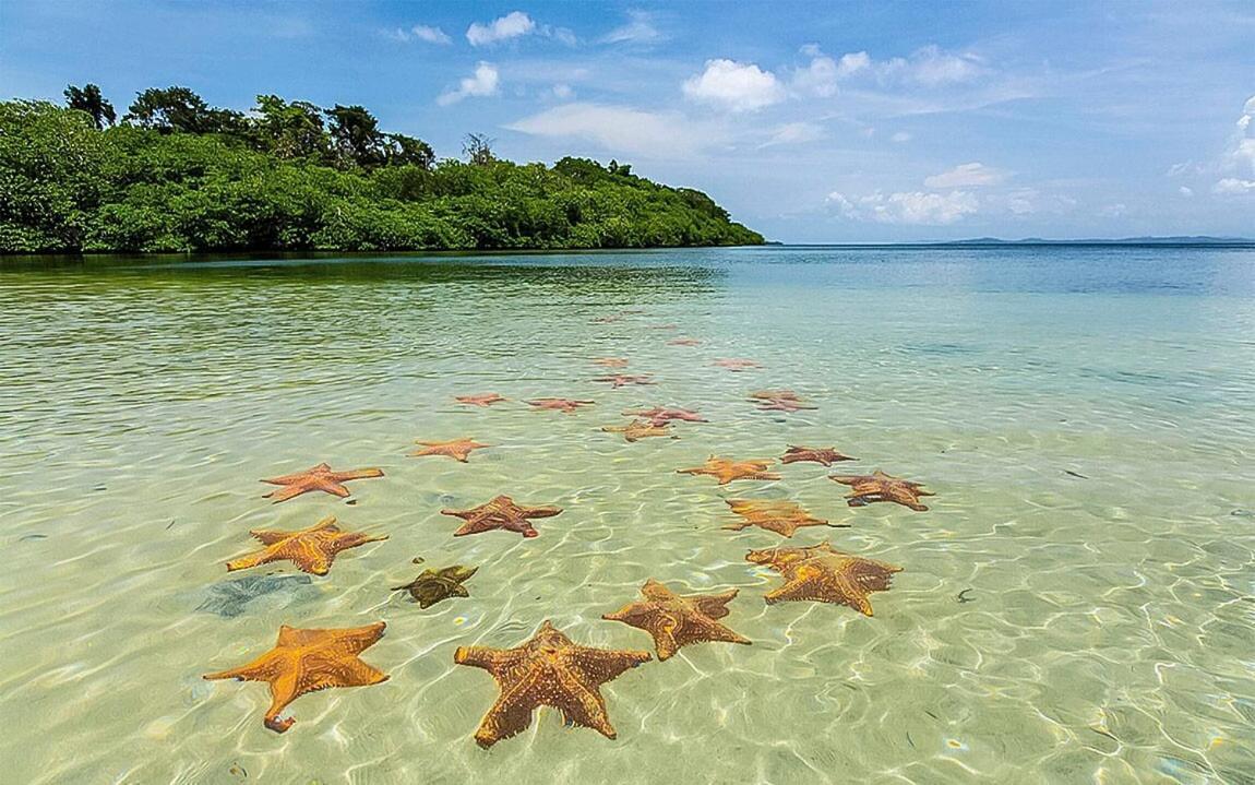 Villa Casa Elba Sobre El Mar Bocas del Toro Esterno foto